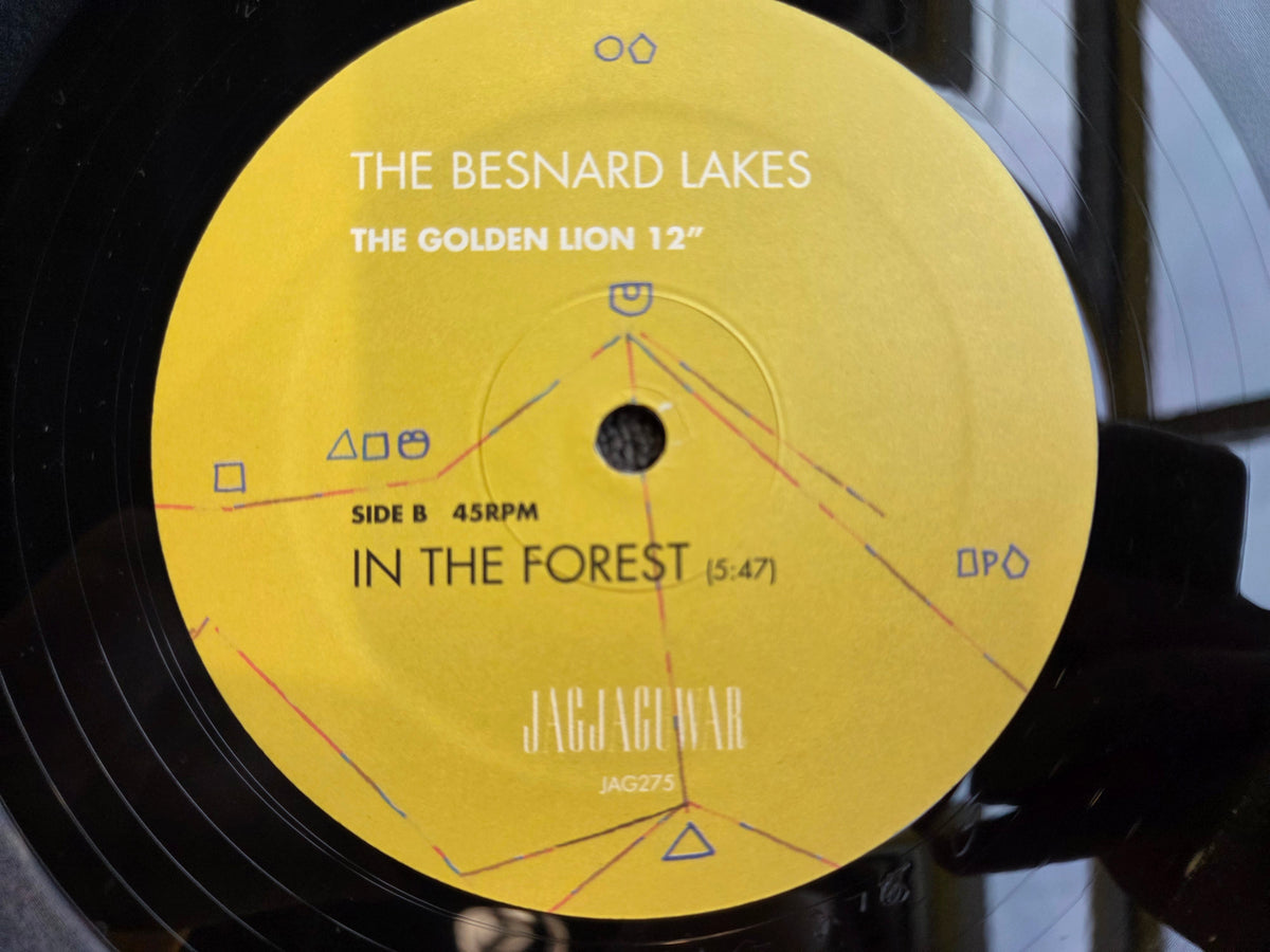 BESNARD LAKES THE GOLDEN LION 12"