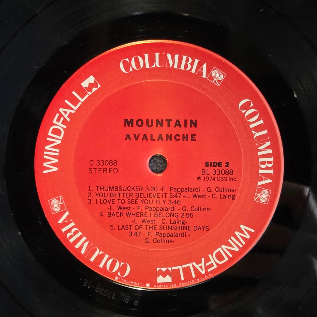 MOUNTAIN AVALANCHE