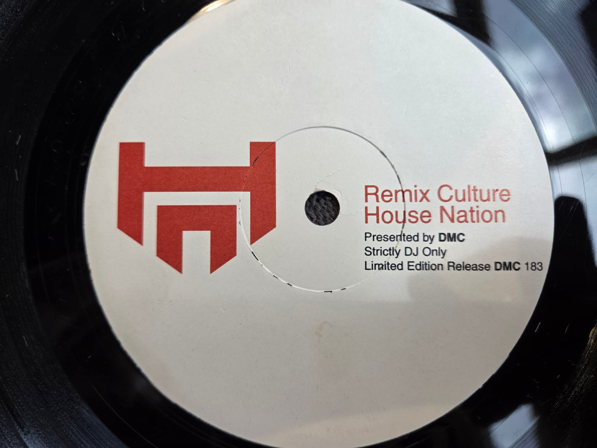 REMIX CULTURE HOUSE NATION 183 V/A
