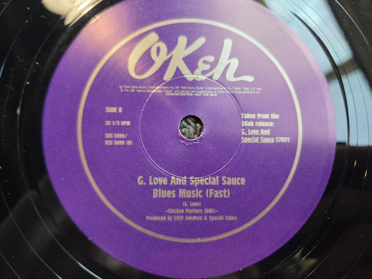 G LOVE SPECIAL SAUCE BLUES MUSIC 10"