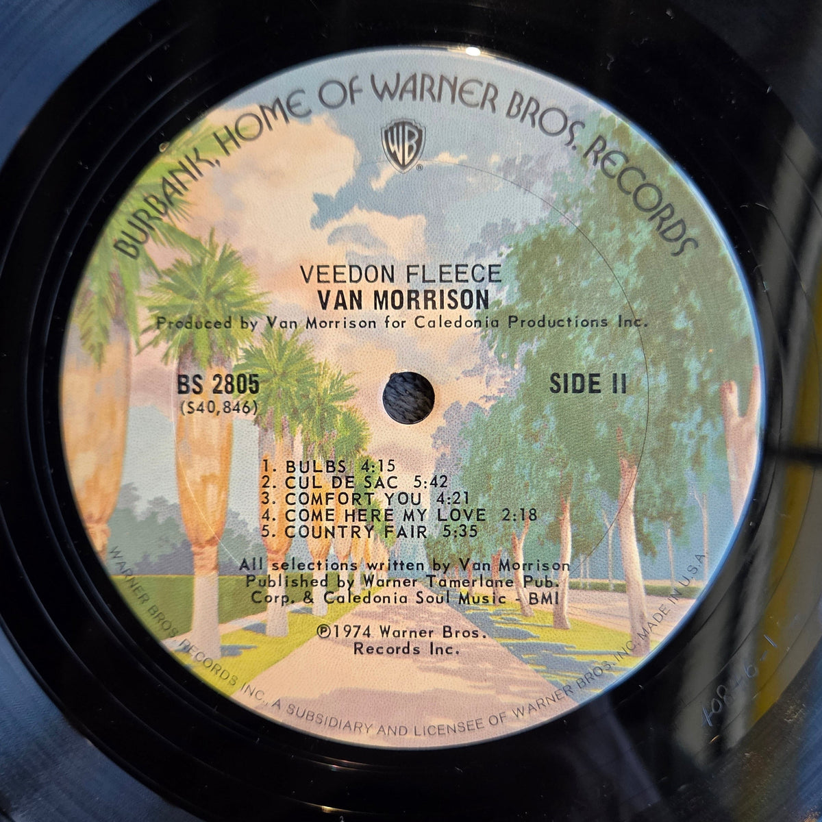 VAN MORRISON VEEDON FLEECE 1P PALM TREE