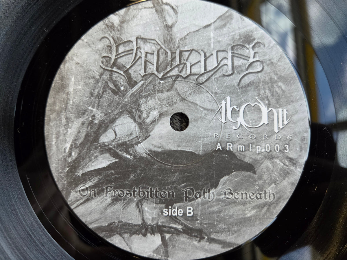 VIDSYN ON FROSTBITTEN PATH BENEATH POL IMP 10"