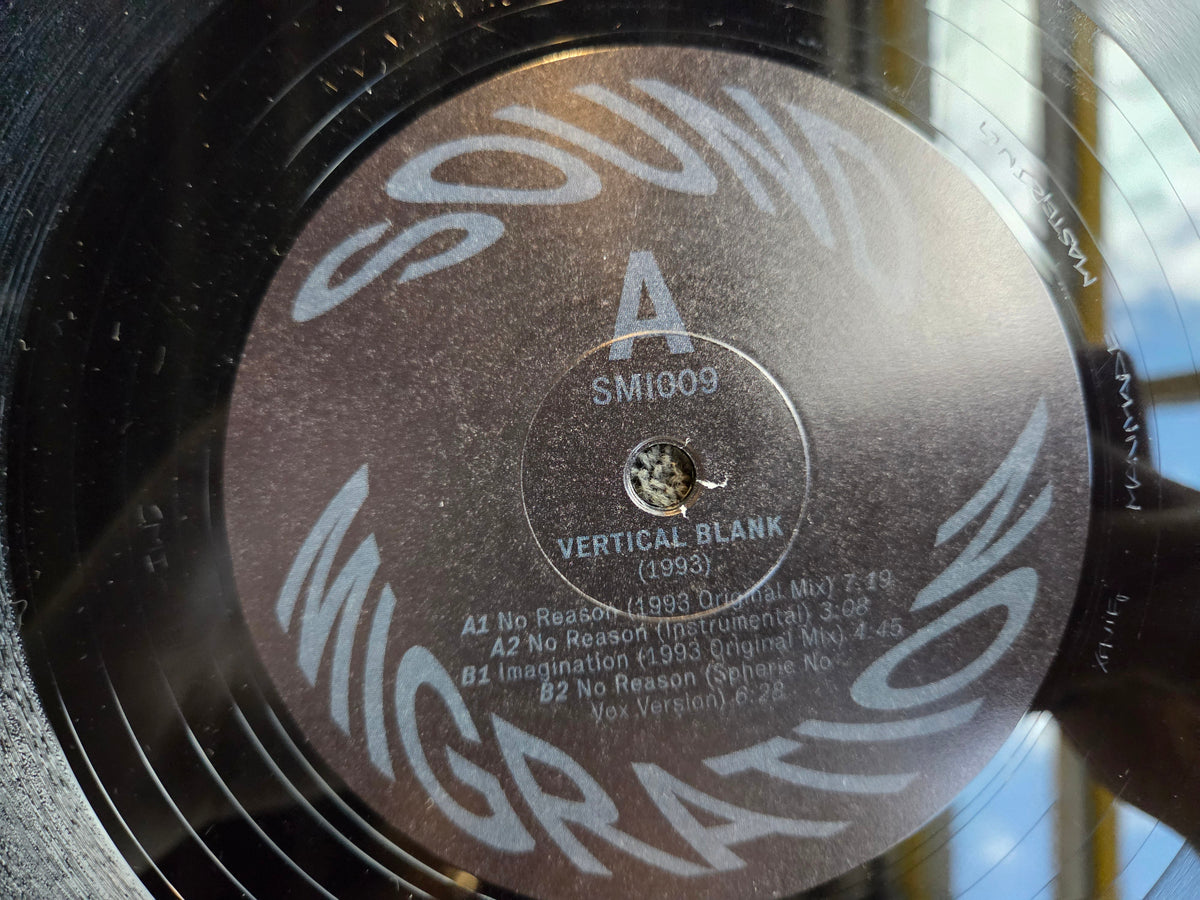 VERTICAL BLANK NO REASON 2023 GER IMP 12"