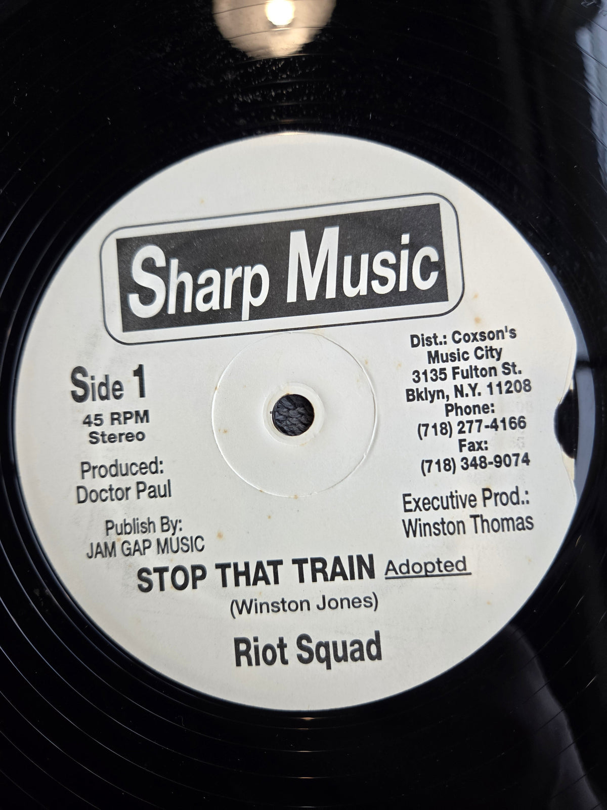 RIOT SQUAD STOP THAT TRAIN 12"