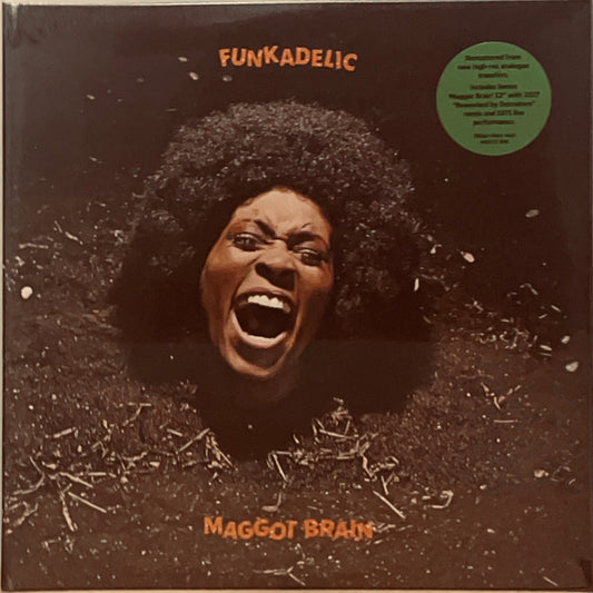 Funkadelic-Maggot Brain