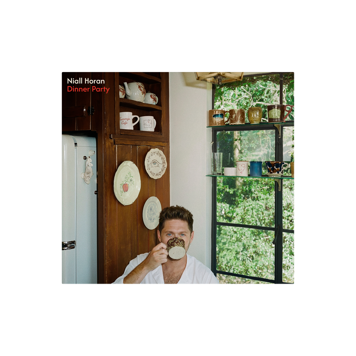 Niall Horan – Dinner Party (Porcelain Colored Vinyl)