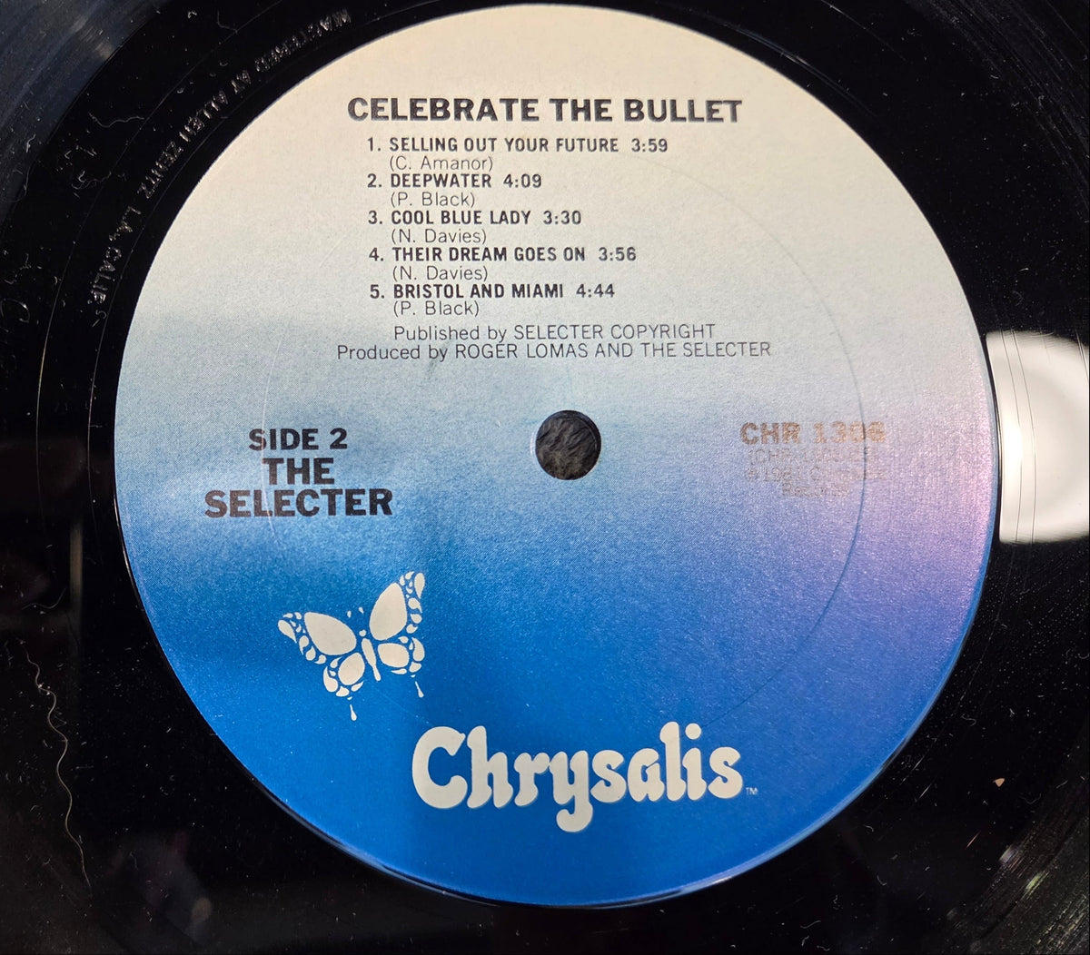 SELECTER CELEBRATE THE BULLET