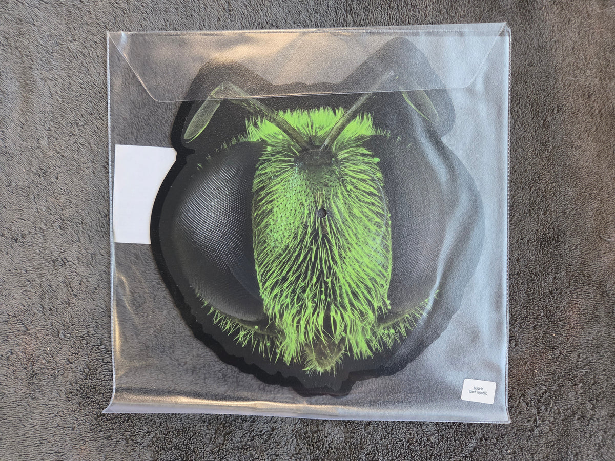 KING GIZZARD & THE LIZARD WIZARD BIG FIG WASP RSD NEW