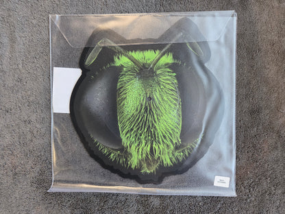 KING GIZZARD & THE LIZARD WIZARD BIG FIG WASP RSD NEW