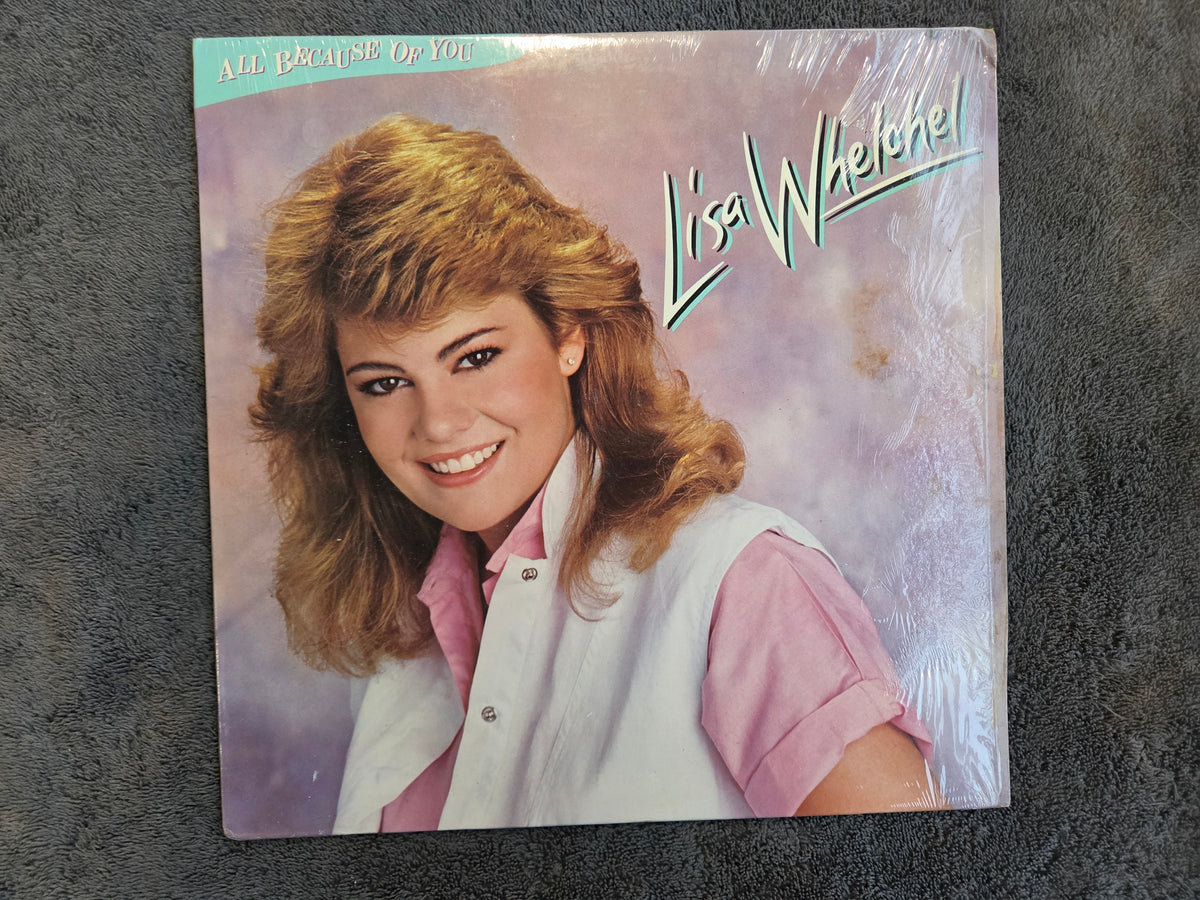 LISA WHELCHEL ALL BECAUSE OF YOU