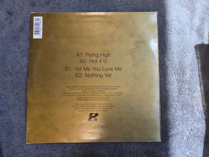 FIERCE RULING DIVA FLOORFILLER II NL IMP 12"