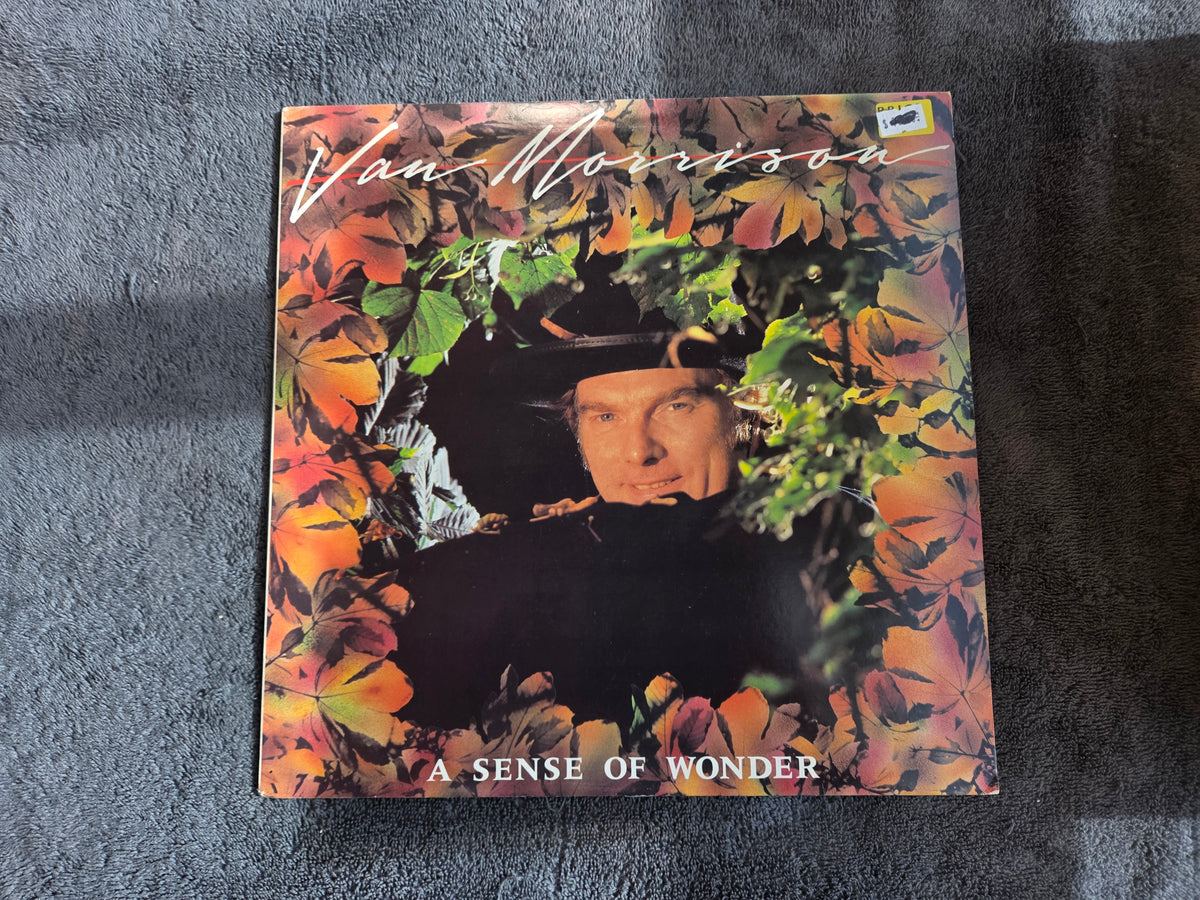 VAN MORRISON A SENSE OF WONDER