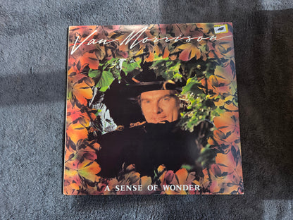 VAN MORRISON A SENSE OF WONDER