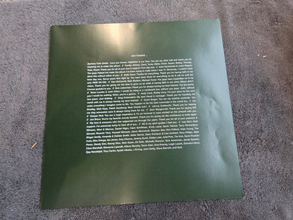 SKY FERREIRA NIGHT TIME MY TIME IRIDESCENT GREEN