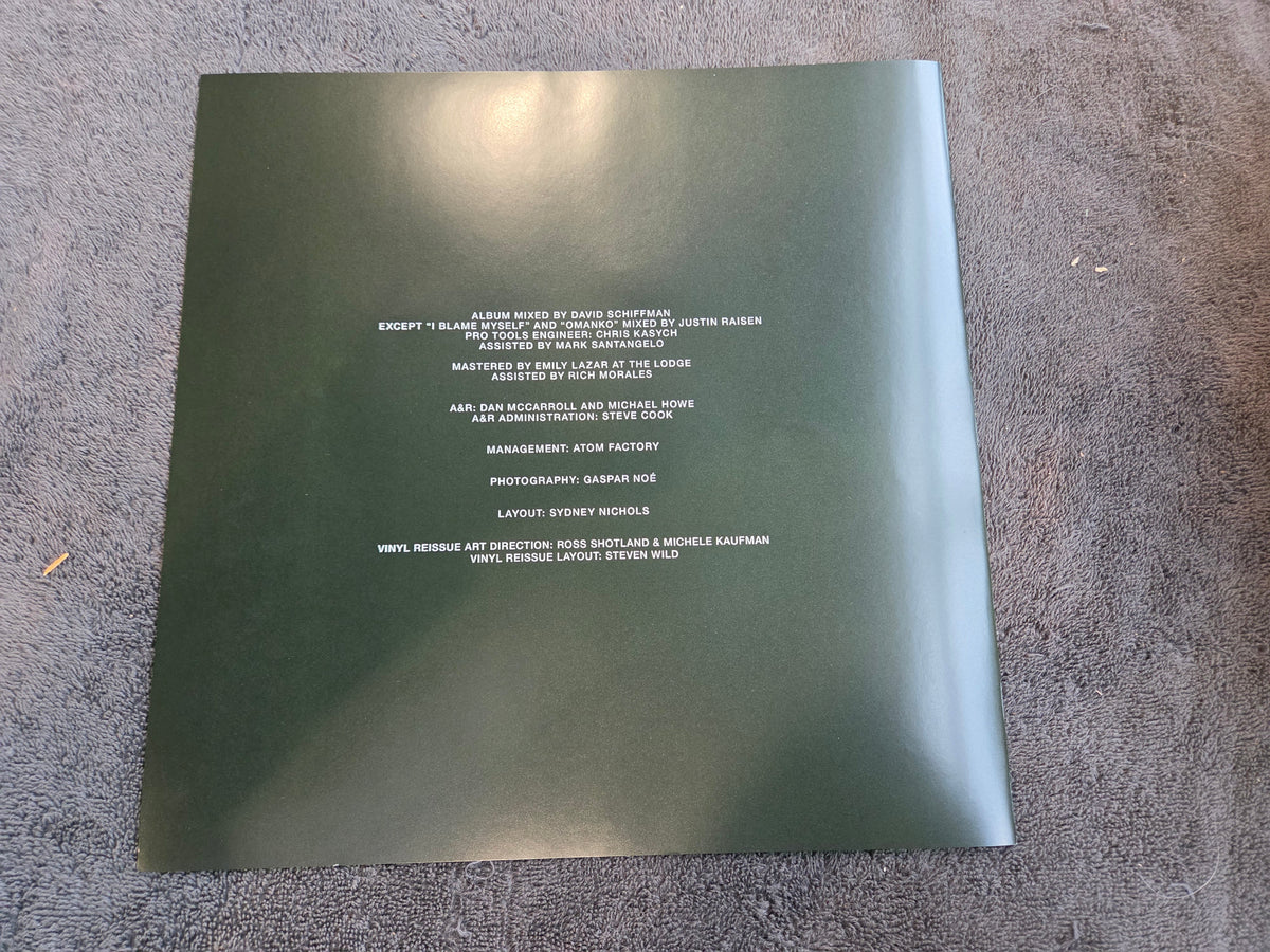 SKY FERREIRA NIGHT TIME MY TIME IRIDESCENT GREEN