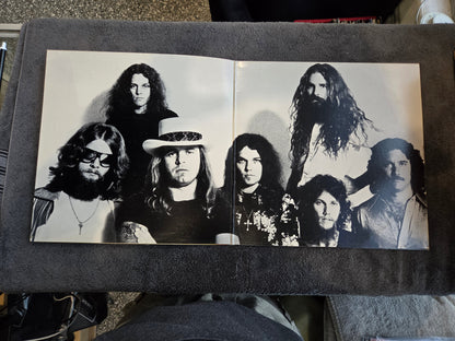 LYNYRD SKYNYRD STREET SURVIVORS FLAME NO INSERT