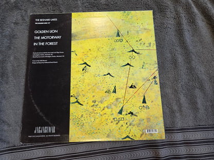 BESNARD LAKES THE GOLDEN LION 12"