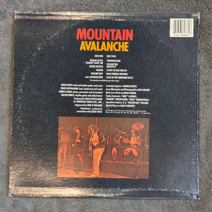 MOUNTAIN AVALANCHE