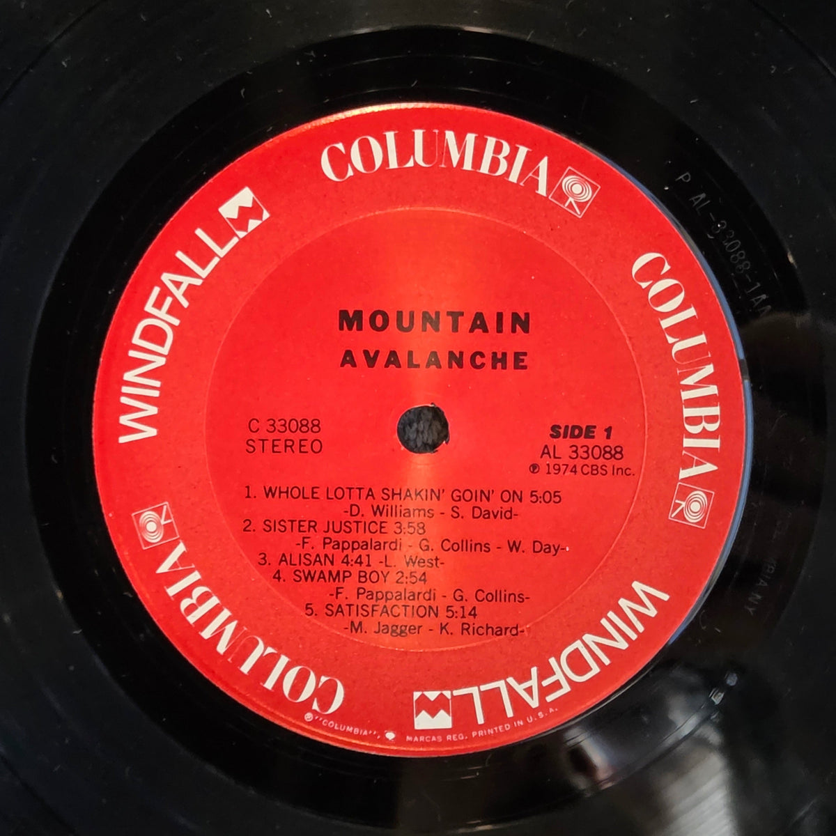 MOUNTAIN AVALANCHE