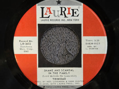 TRINIDAD SHAME AND SCANDAL IN THE FAMILY 7"