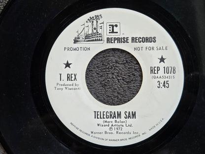 T REX TELEGRAM SAM WLP 7"