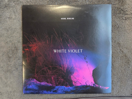 WHITE VIOLET HIDING MINGLING