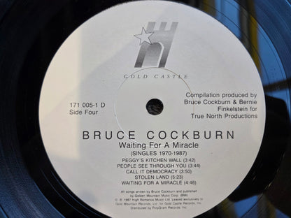 BRUCE COCKBURN WAITING FOR A MIRACLE