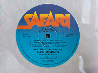 WAYNE JAYNE COUNTY STORM THE GATES OF HEAVEN MARBLED SPLATTER VINYL UK IMPORT