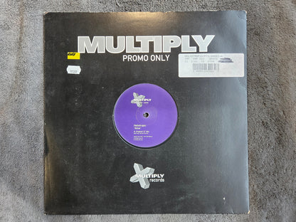 HELIOTROPIC ALIVE UK IMP 12"