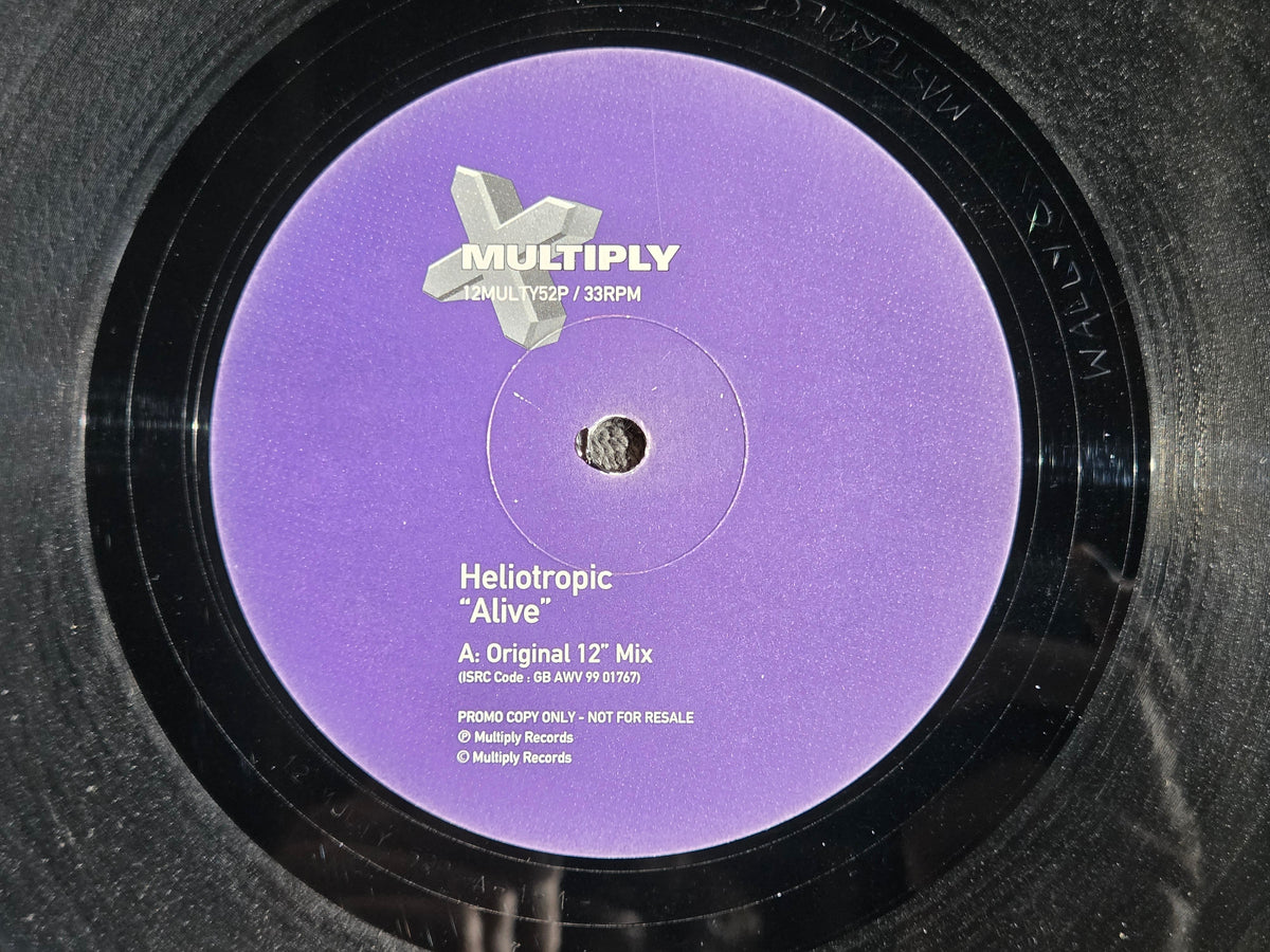 HELIOTROPIC ALIVE UK IMP 12"
