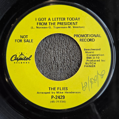 FLIES BLOW IN MY EAR PROMO 7"