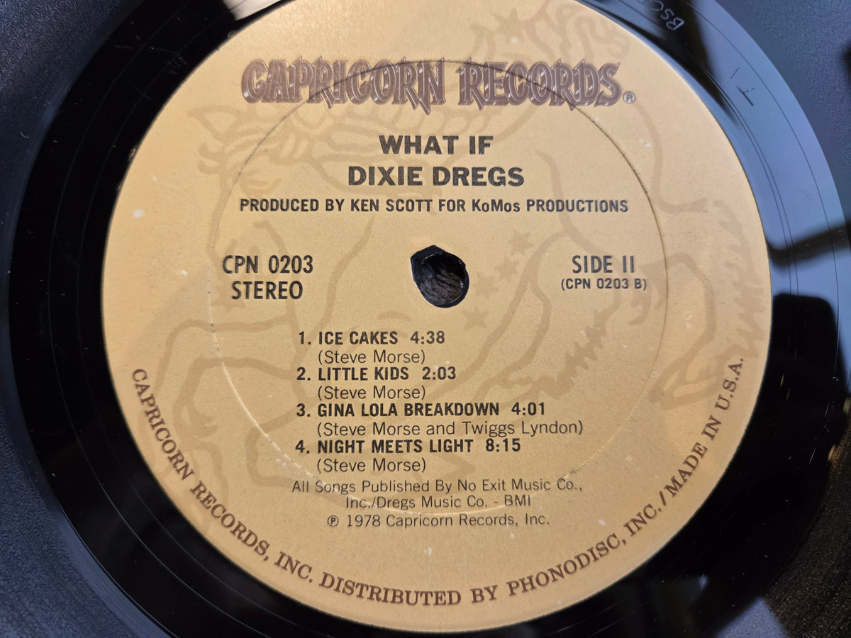 DIXIE DREGS WHAT IF