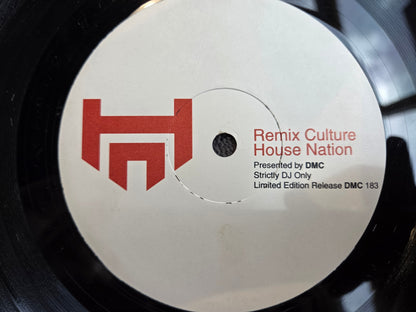 REMIX CULTURE HOUSE NATION 183 V/A