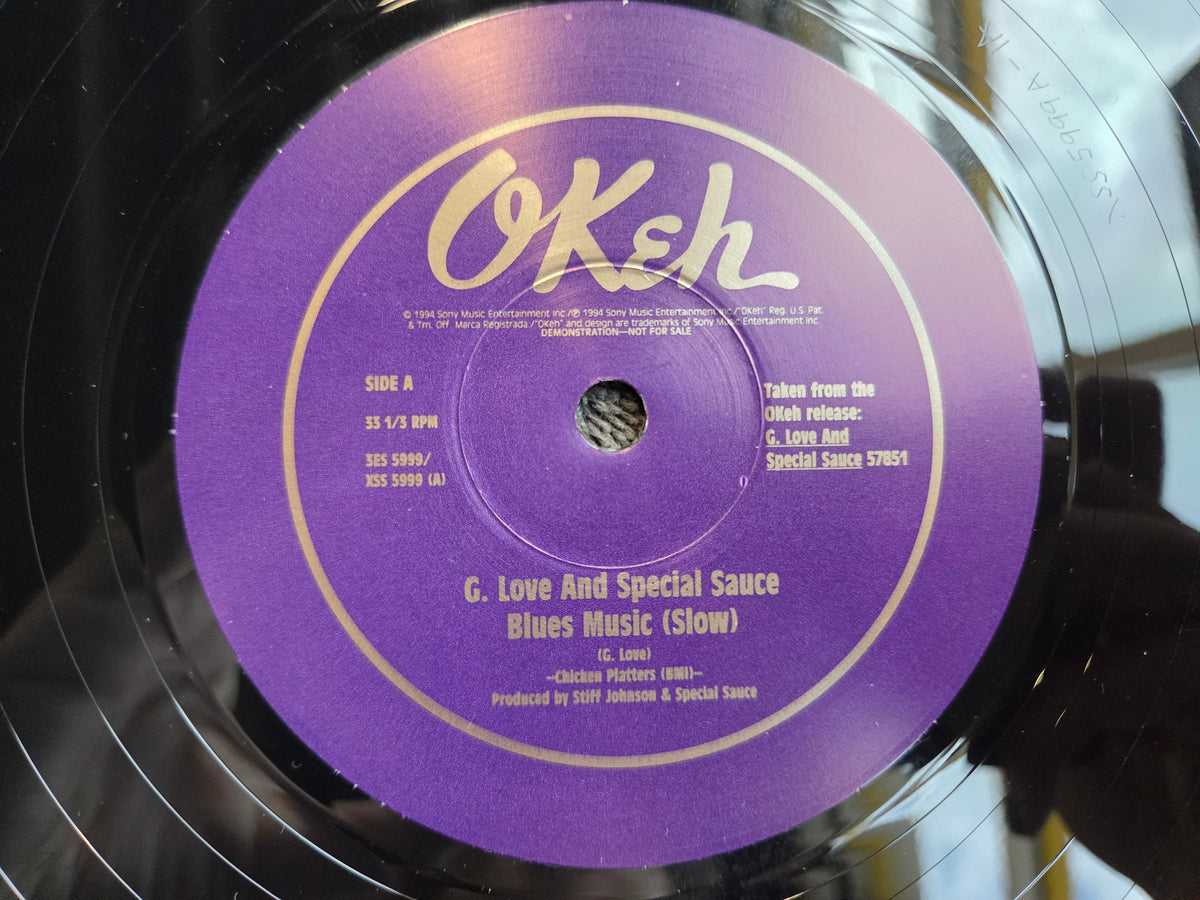 G LOVE SPECIAL SAUCE BLUES MUSIC 10"