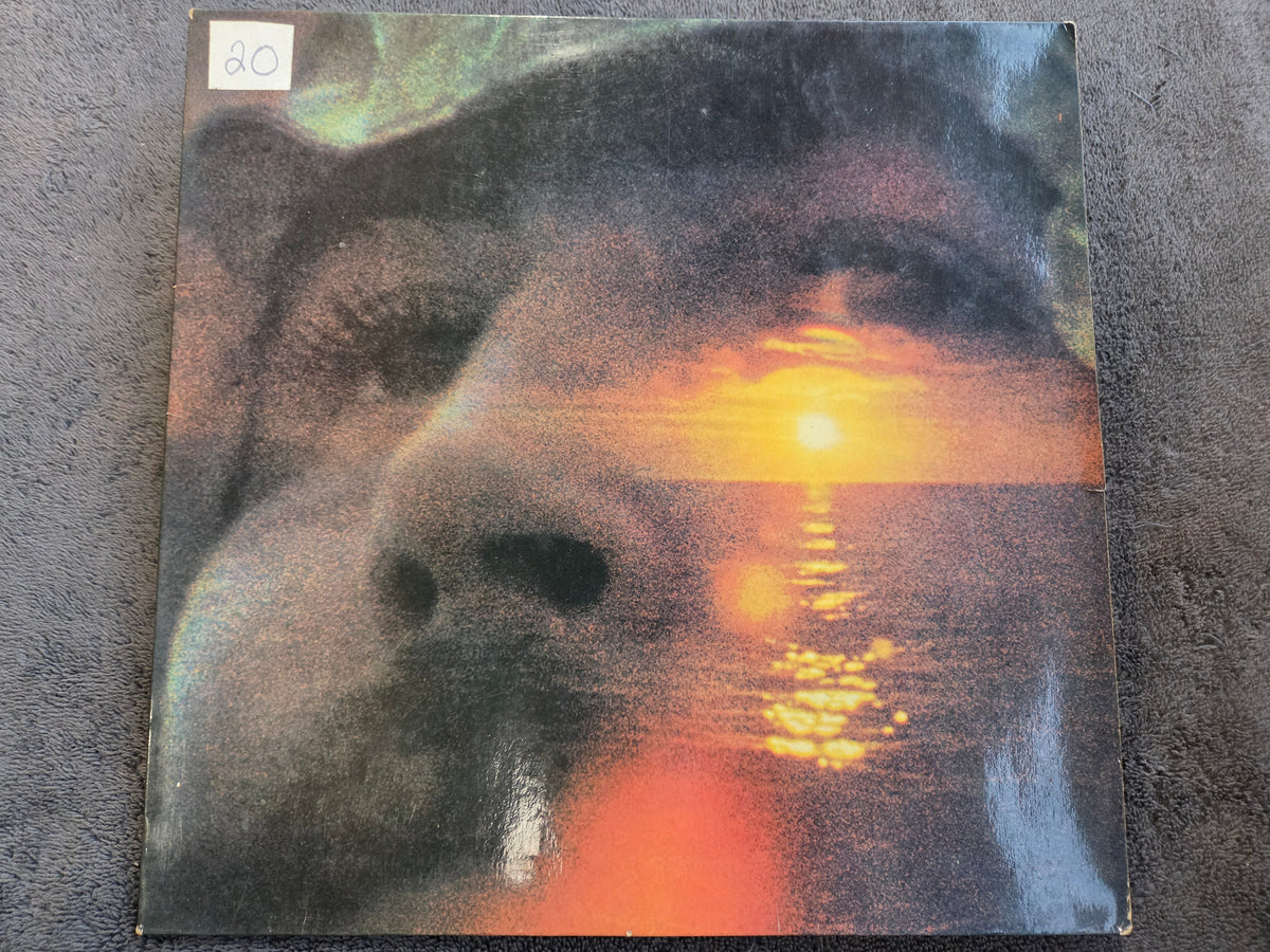 DAVID CROSBY IF I COULD ONLY REMEMBER MY NAME GER IMP