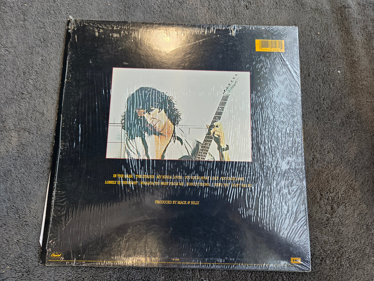 BILLY SQUIER DONT SAY NO