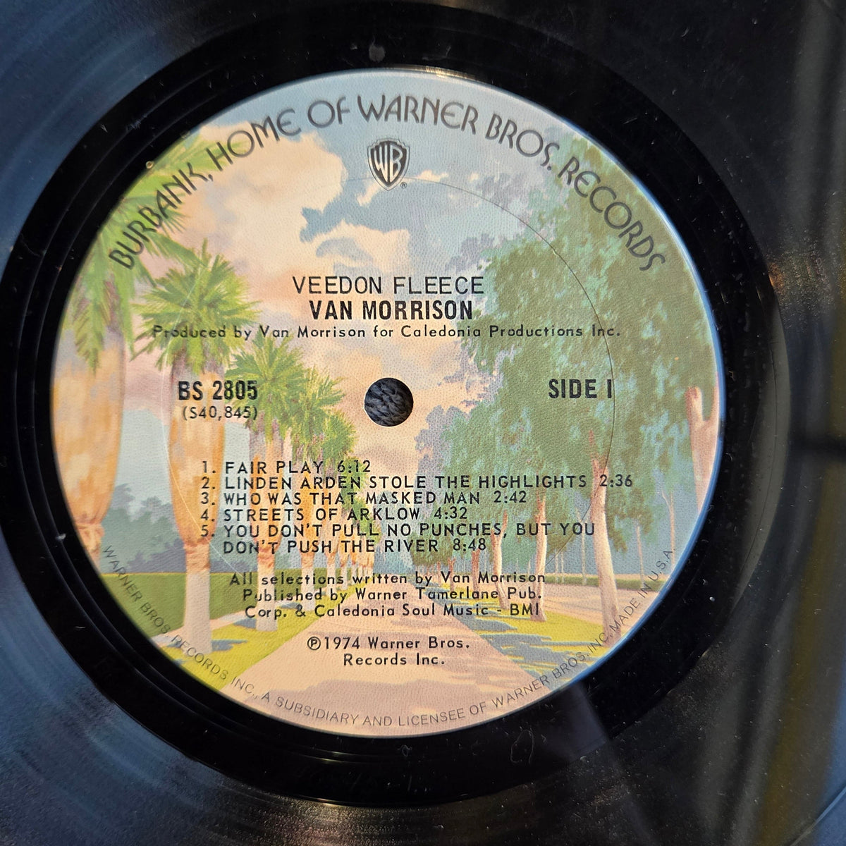 VAN MORRISON VEEDON FLEECE 1P PALM TREE