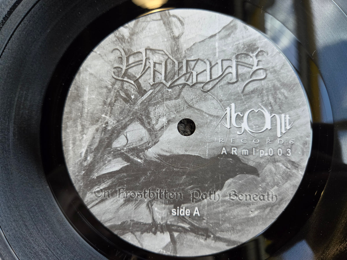 VIDSYN ON FROSTBITTEN PATH BENEATH POL IMP 10"