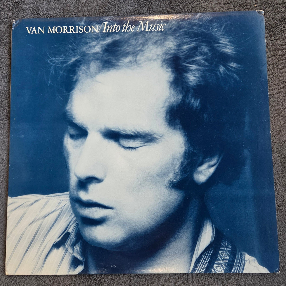 VAN MORRISON INTO THE MUSIC