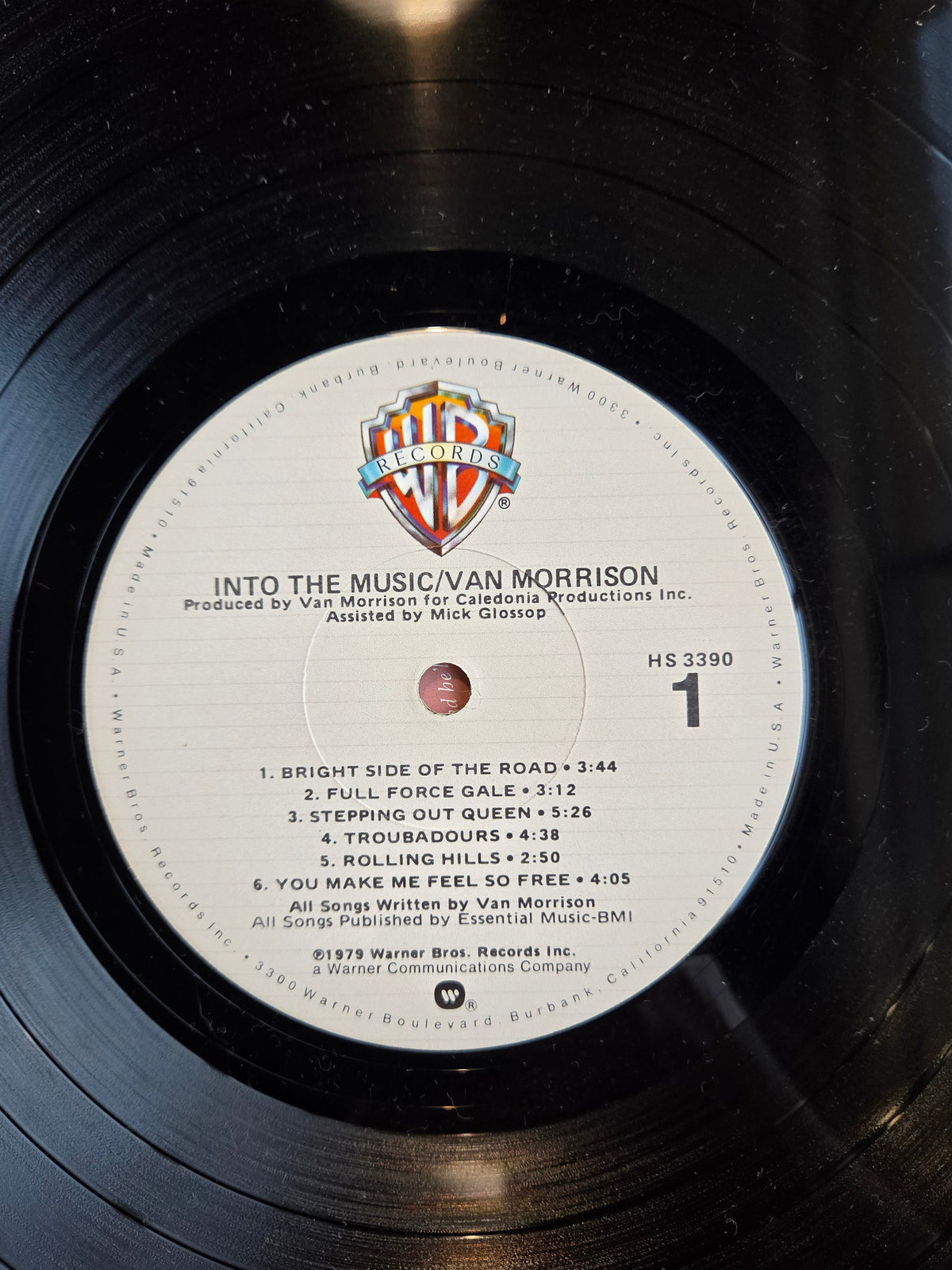 VAN MORRISON INTO THE MUSIC