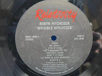 ROBYN HITCHCOCK INVISIBLE
