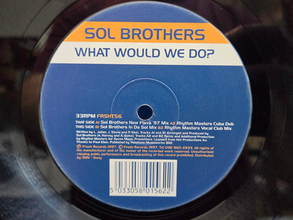 SOL BROTHERS WHAT WOULD WE DO UK IMP 12"