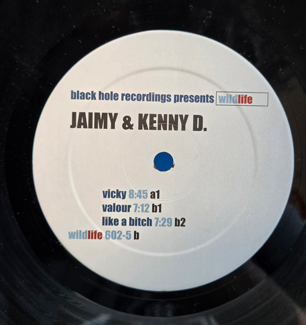 JAIMY & KENNY D VICKY NL IMP 12"