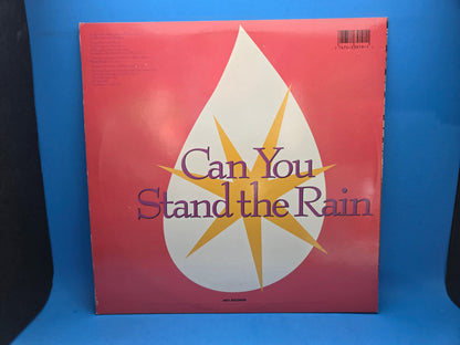 NEW EDITION CAN YOU STAND THE RAIN EXTENDED VERSION 12"