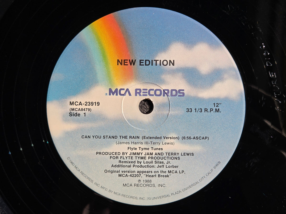 NEW EDITION CAN YOU STAND THE RAIN EXTENDED VERSION 12"