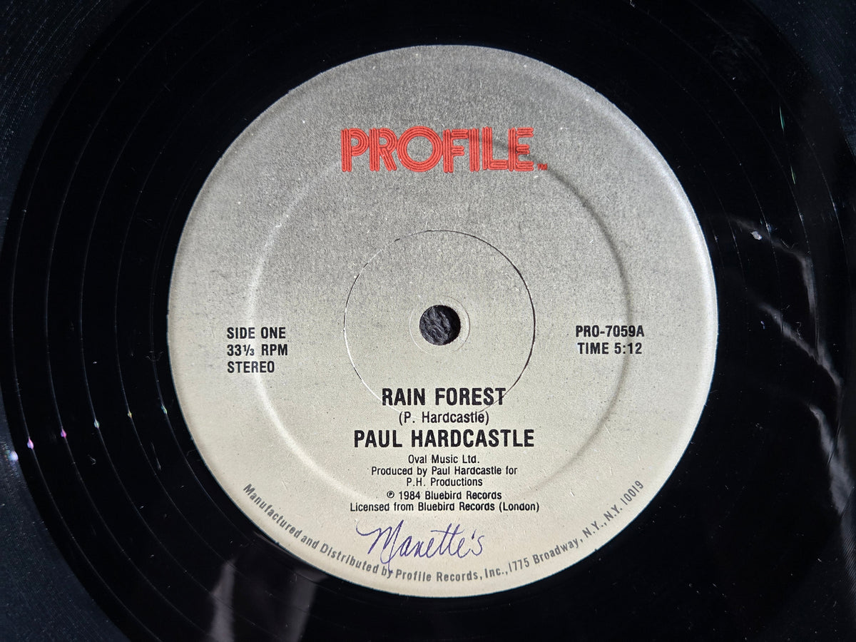 PAUL HARDCASTLE RAIN FOREST 12"
