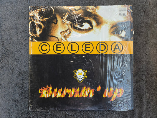 CELEDA BURNIN UP BEL IMP 12"