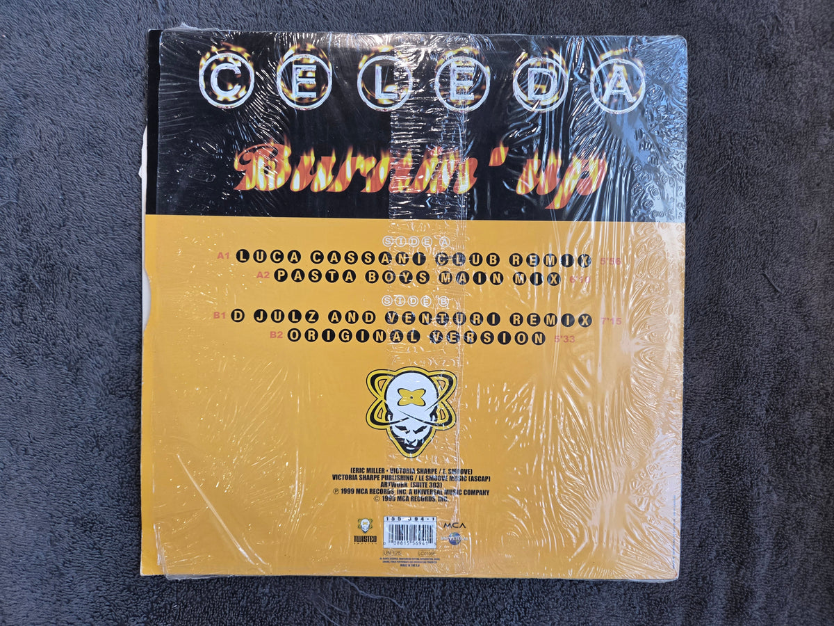 CELEDA BURNIN UP BEL IMP 12"