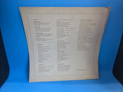 STEELY DAN COUNTDOWN TO ECSTASY 1973 INSERT
