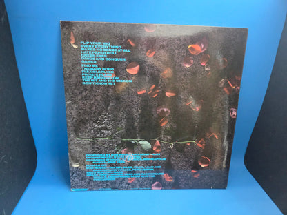 HUSKER DU FLIP YOUR WIG 1P INSERT